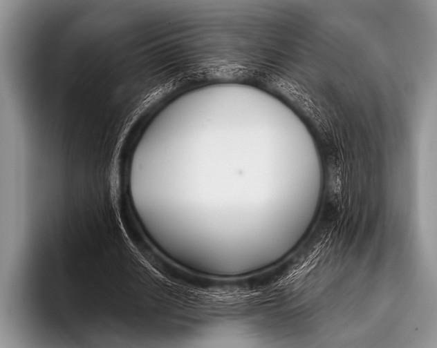 X0000096180630200802081500
