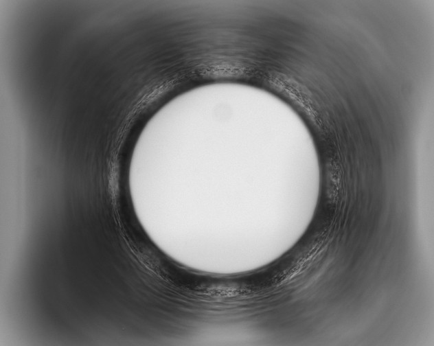 X0000096180631200802081500