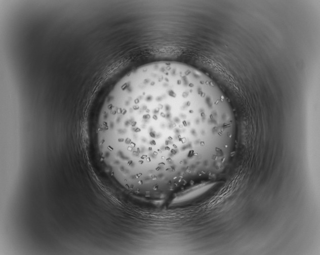 X0000096180634200802081500