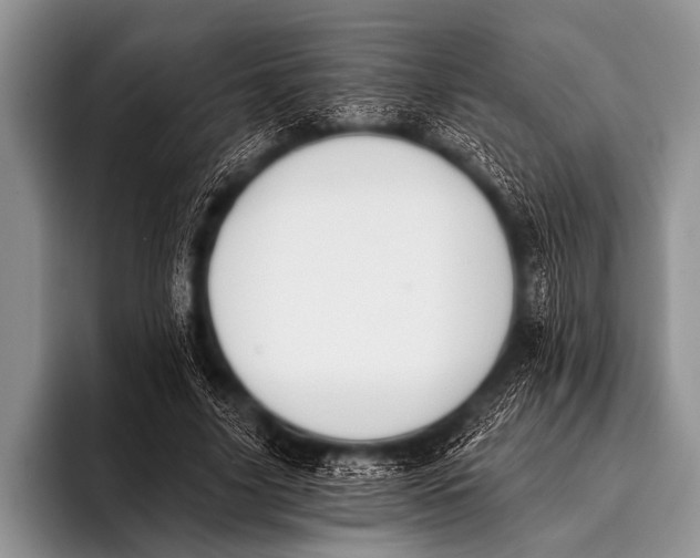 X0000096180635200802081500