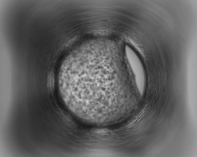 X0000096180637200802081500