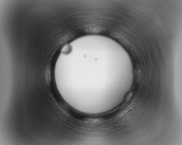 X0000096180638200802081500