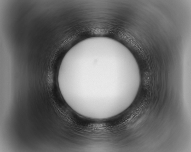 X0000096180639200802081500
