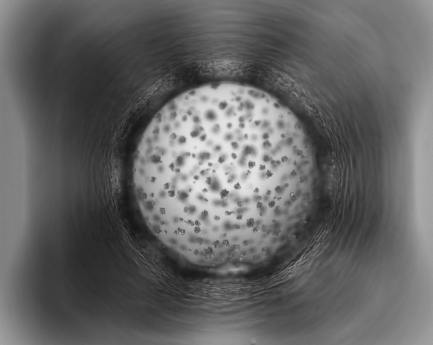 X0000096180643200802081500