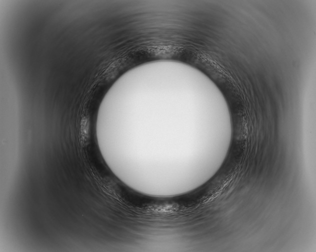 X0000096180646200802081500