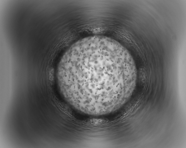 X0000096180650200802081500