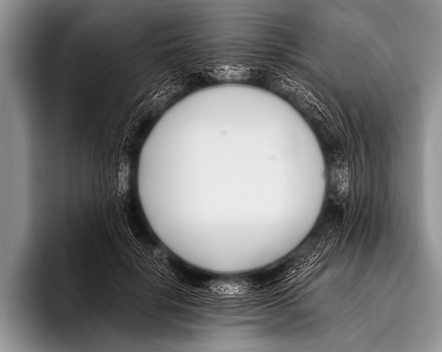 X0000096180652200802081500