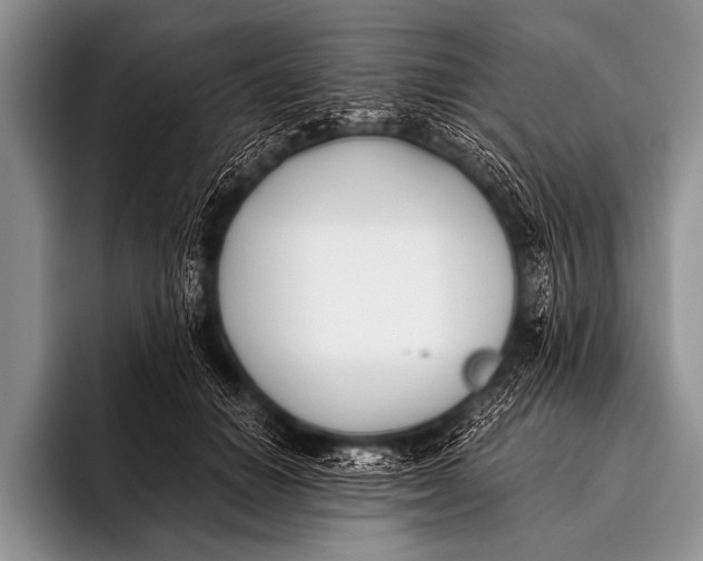X0000096180654200802081500