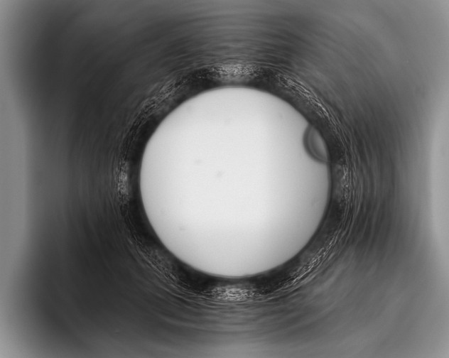 X0000096180655200802081500