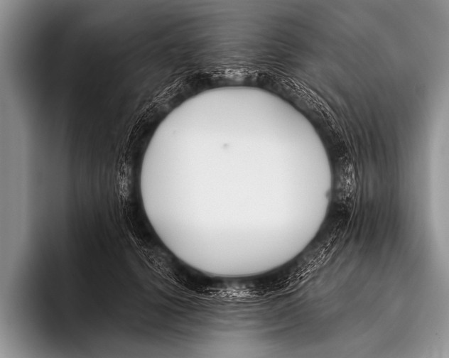 X0000096180656200802081500