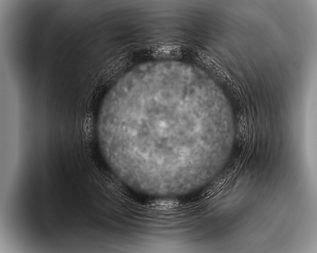 X0000096180659200802081500