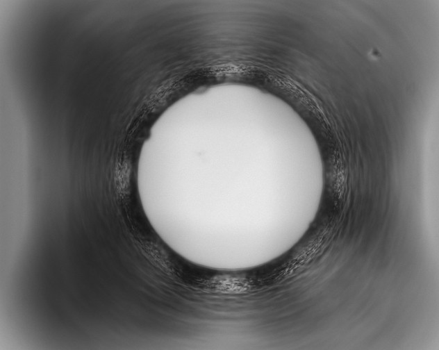 X0000096180660200802081500