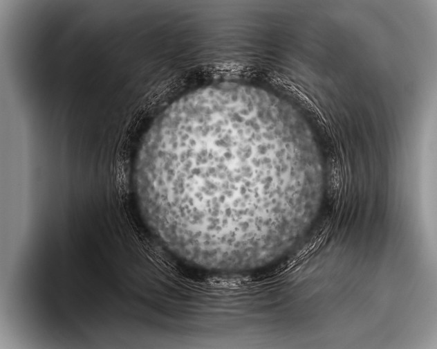 X0000096180661200802081500