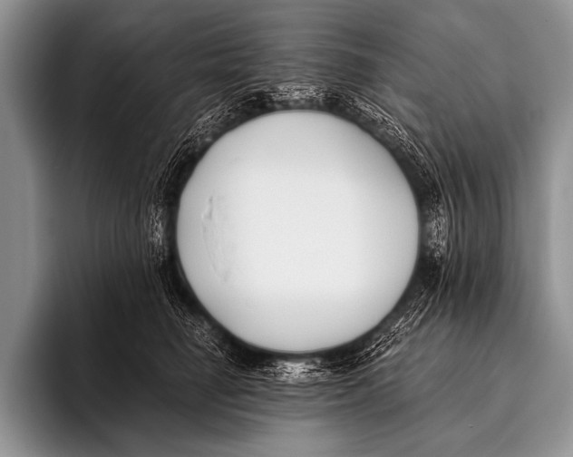X0000096180662200802081500