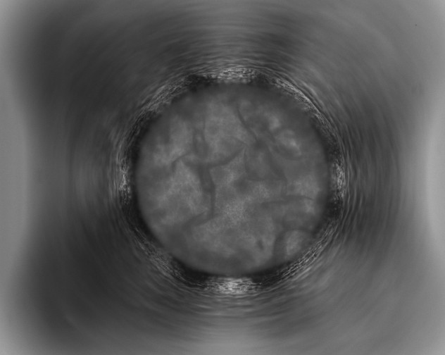 X0000096180663200802081500