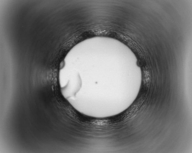 X0000096180664200802081500