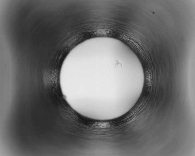X0000096180665200802081500