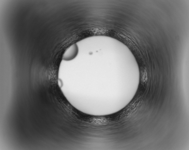 X0000096180666200802081500