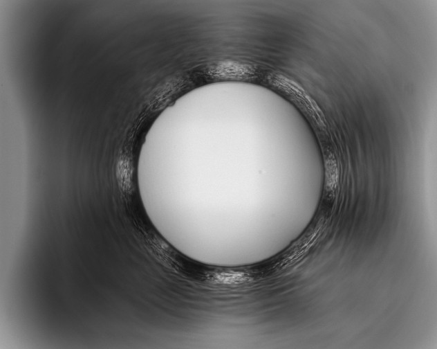 X0000096180669200802081500