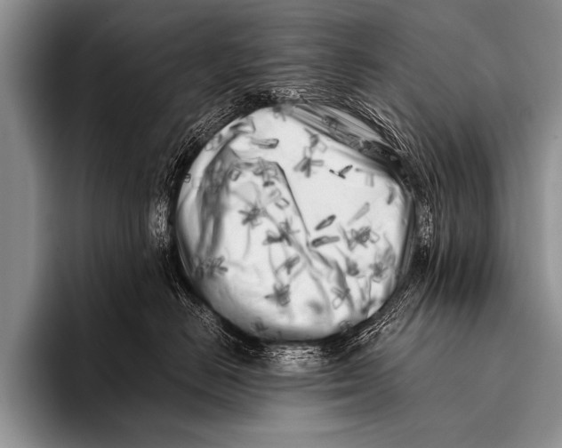 X0000096180670200802081500