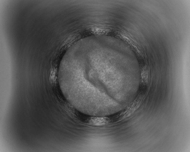 X0000096180671200802081500