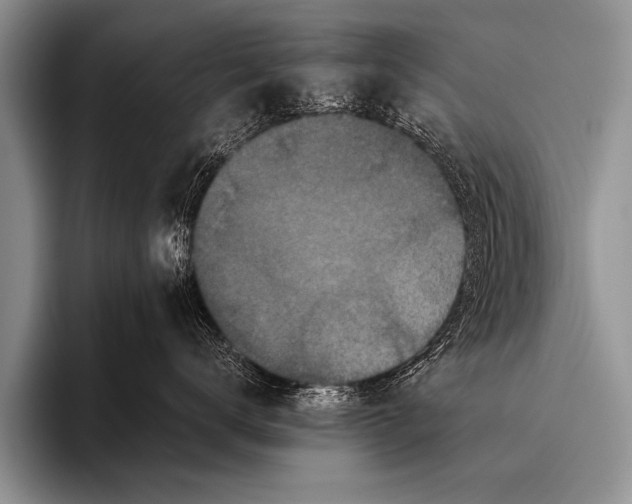 X0000096180672200802081500