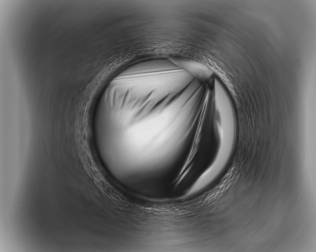 X0000096180673200802081500