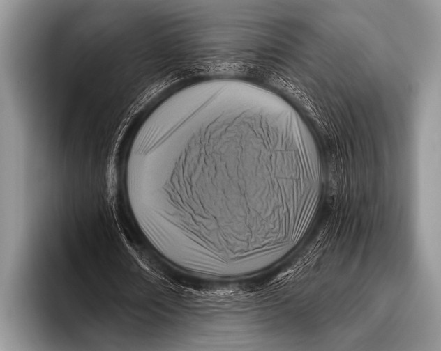 X0000096180674200802081500