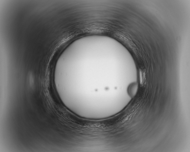 X0000096180675200802081500