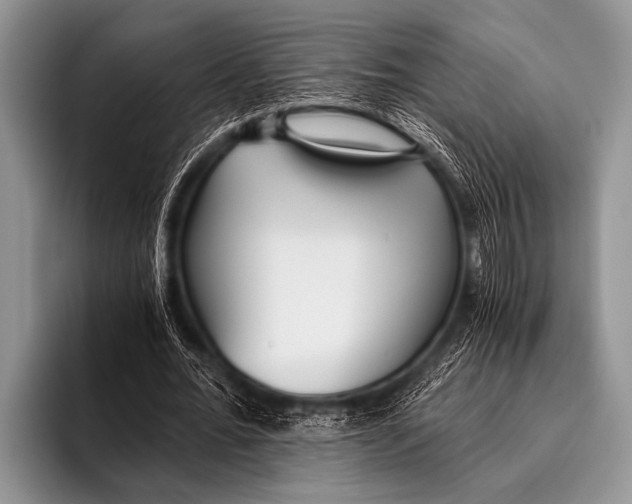 X0000096180676200802081500