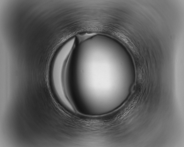 X0000096180677200802081500