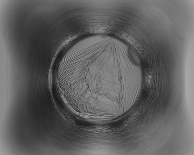 X0000096180678200802081500