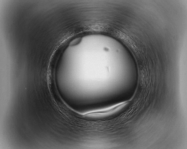 X0000096180680200802081500