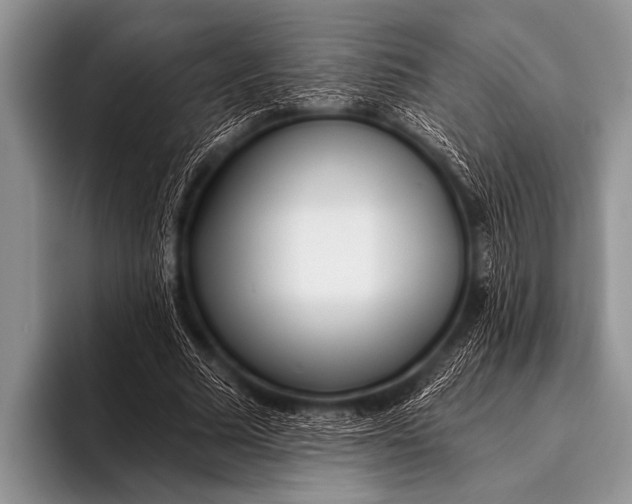 X0000096180681200802081500
