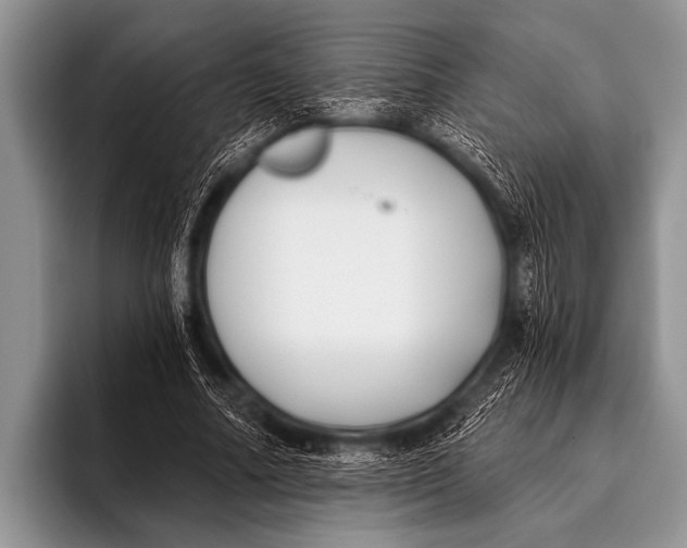 X0000096180682200802081500
