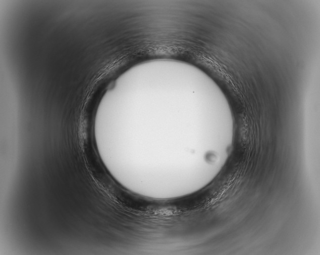 X0000096180683200802081500