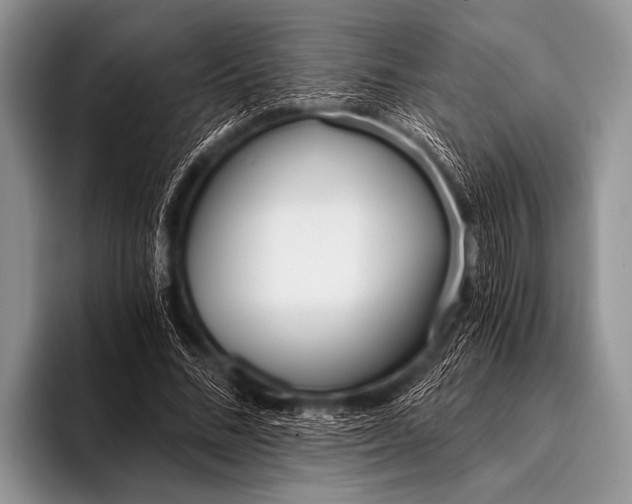 X0000096180684200802081500