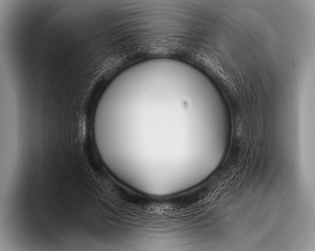 X0000096180685200802081500