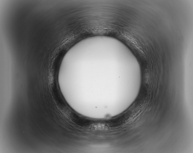 X0000096180687200802081500