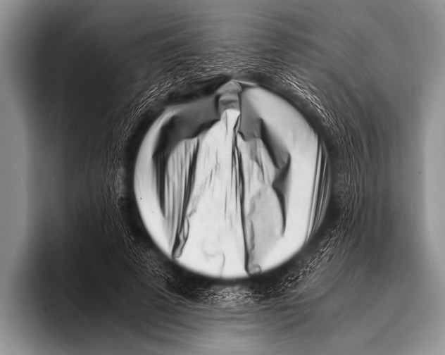 X0000096180689200802081500
