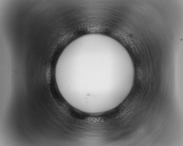 X0000096180690200802081500
