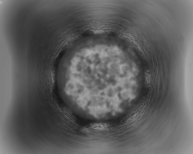 X0000096180691200802081500