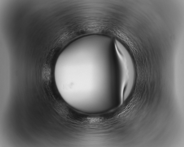 X0000096180693200802081500