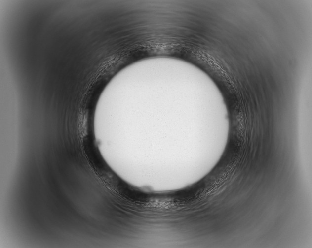 X0000096180694200802081500