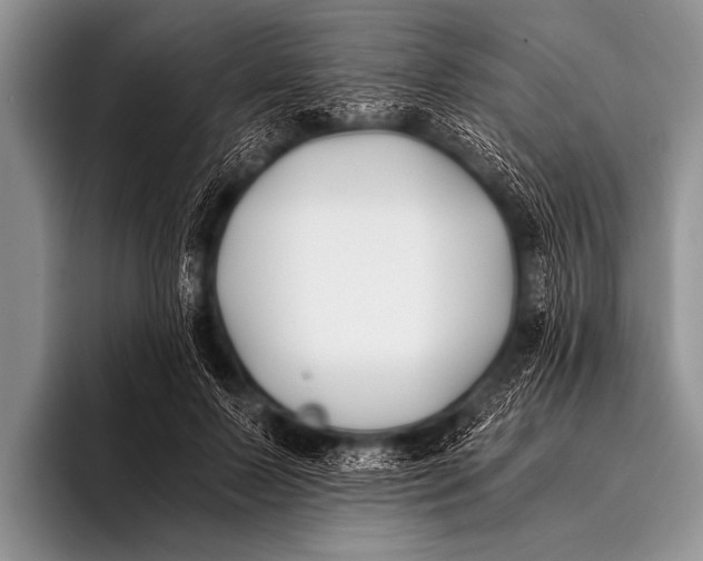 X0000096180695200802081500