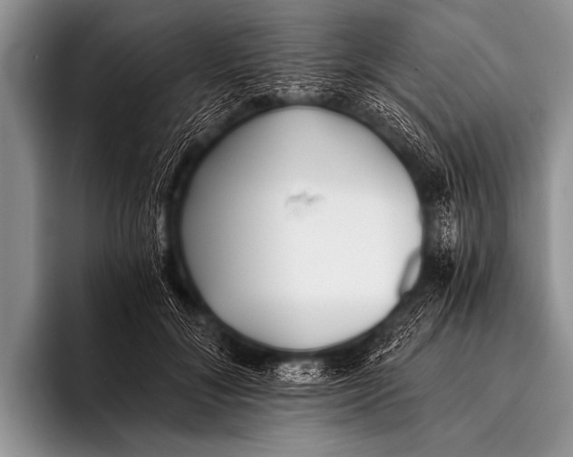 X0000096180700200802081500