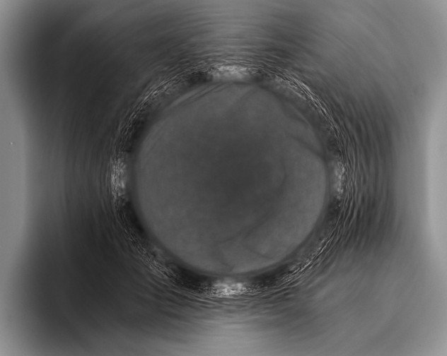 X0000096180701200802081500