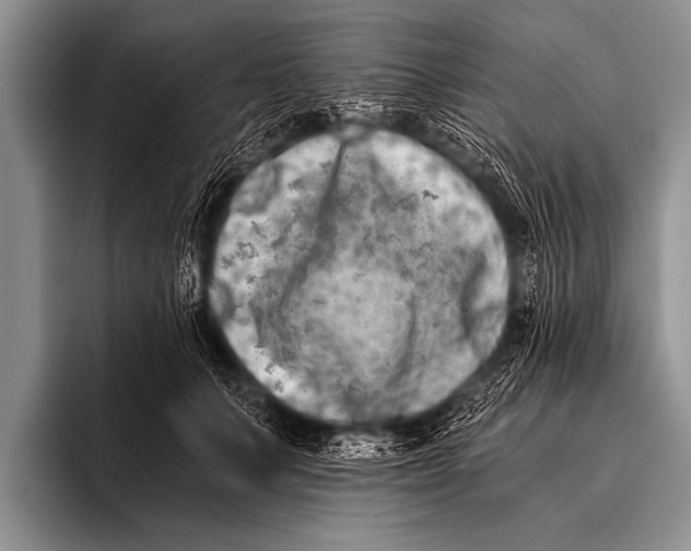 X0000096180703200802081459