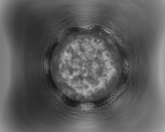 X0000096180707200802081459