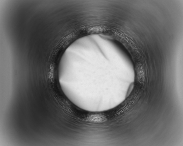 X0000096180708200802081459